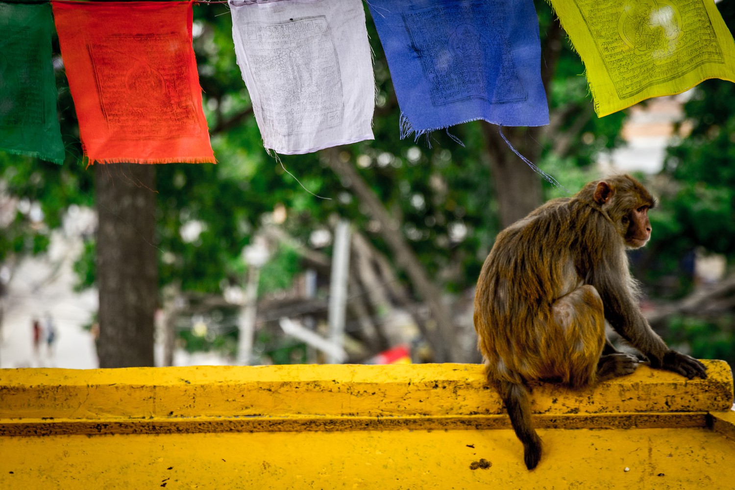 Nepal: Kathmandu and Pike Peak