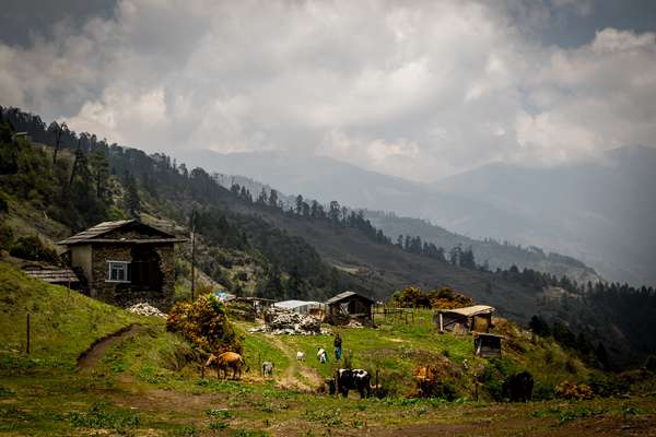 A village perched on the side of a mountain, Nepal